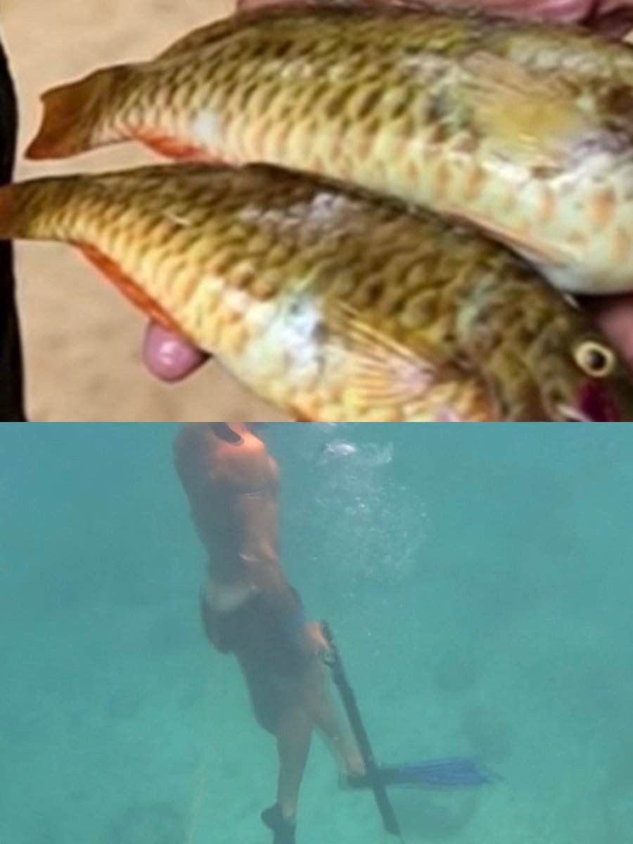 Φαντομάς tweet media