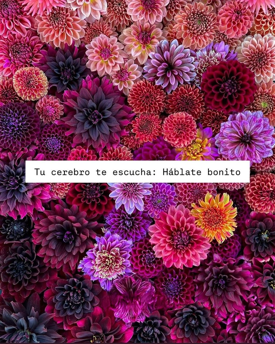 MeTooUDG tweet media