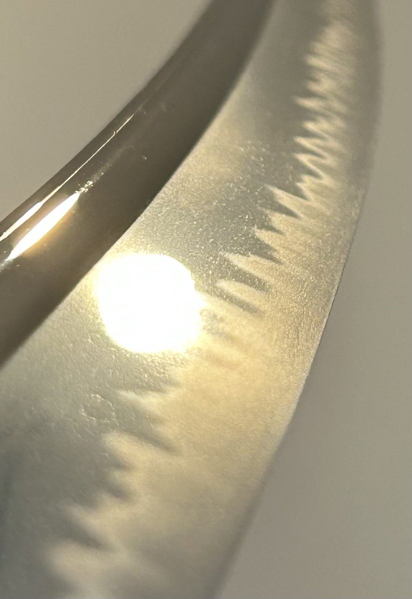 横井正則 tweet media