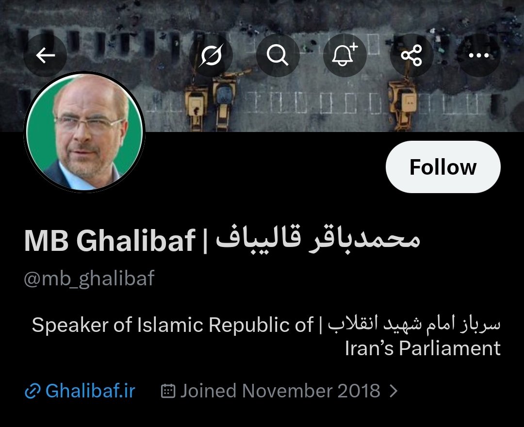 witty turtle tweet media