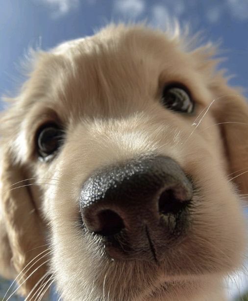 den 🧸 tweet media