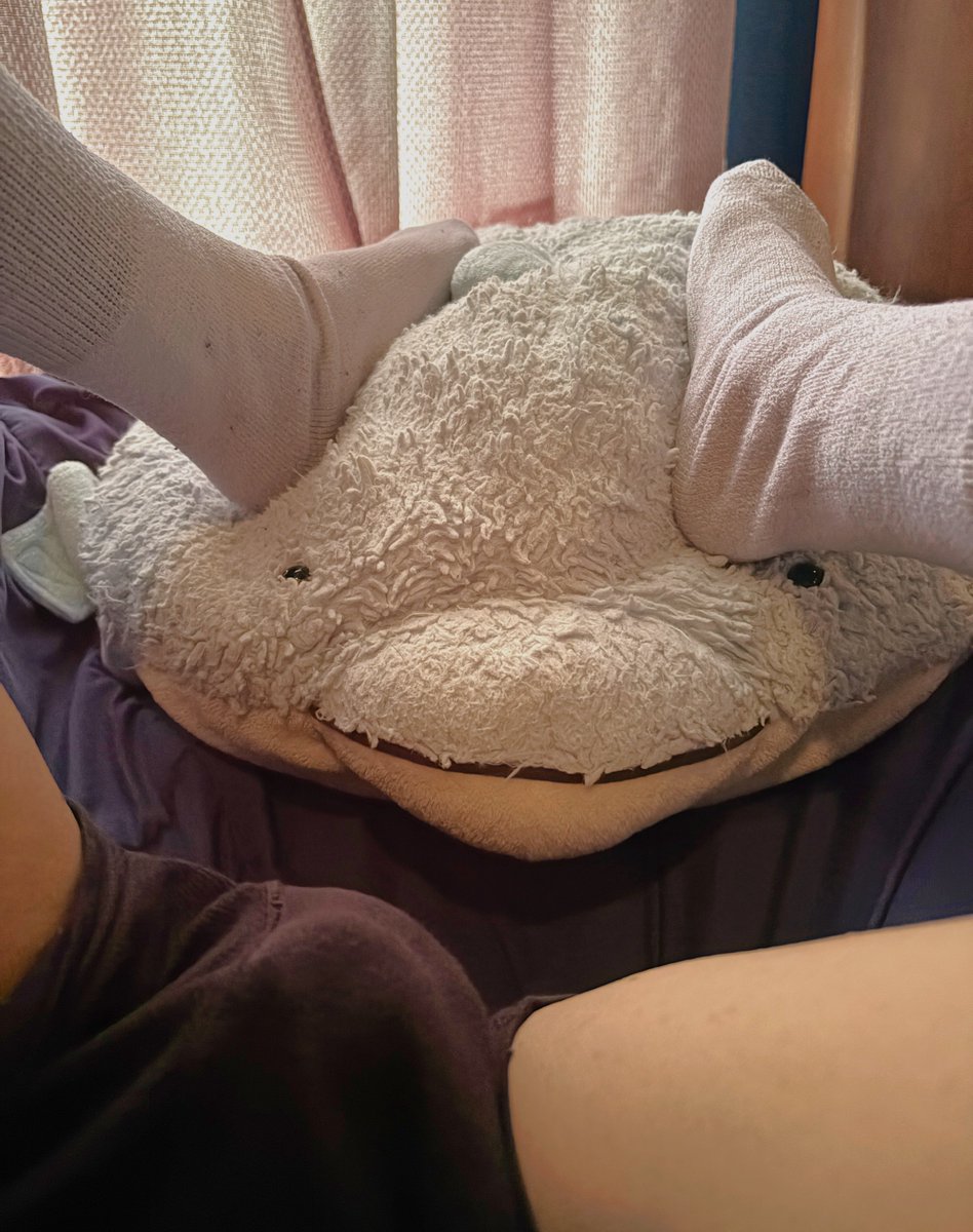 Subswich tweet media