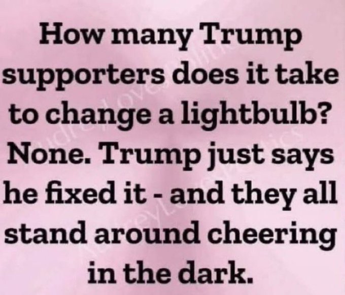 Trump was Epstein's Biggest Client tweet media