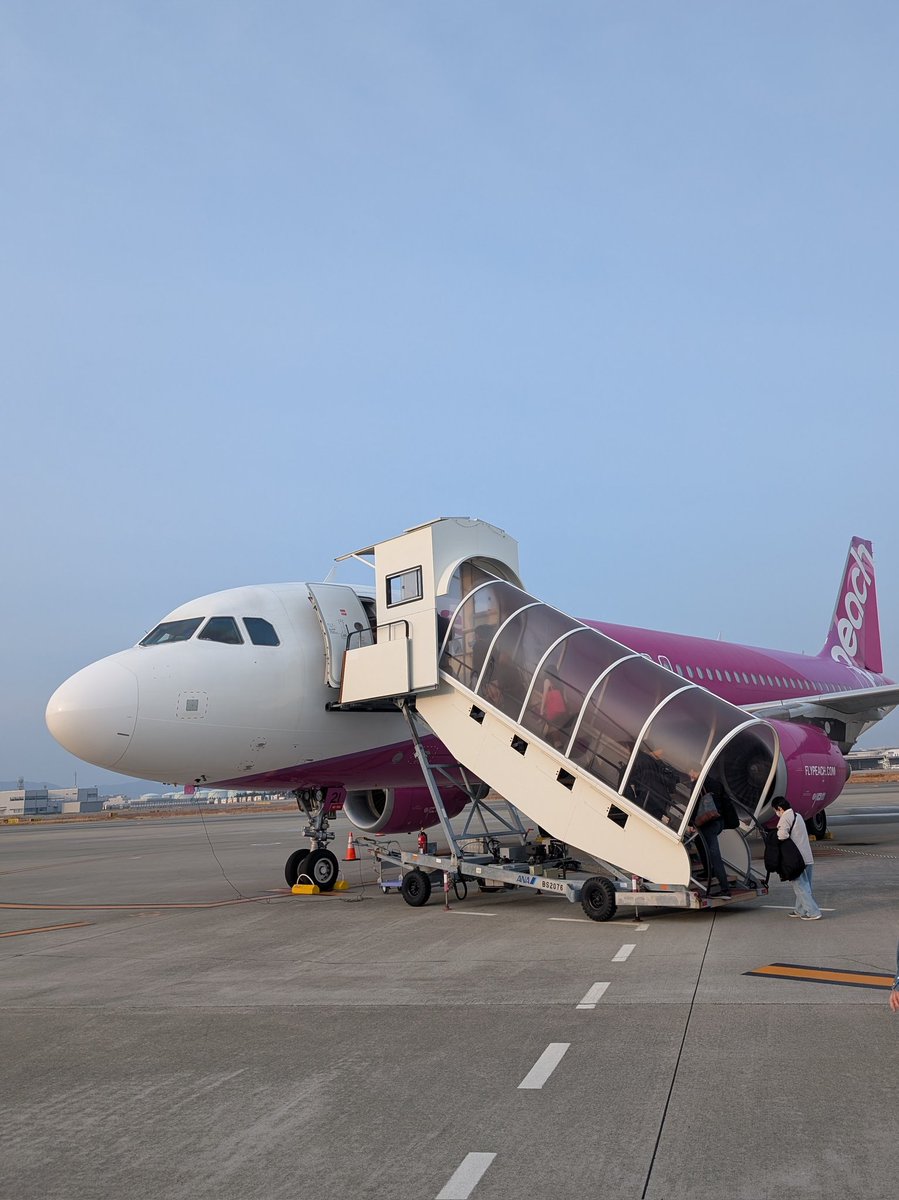 ❄きりかも🦒 tweet media