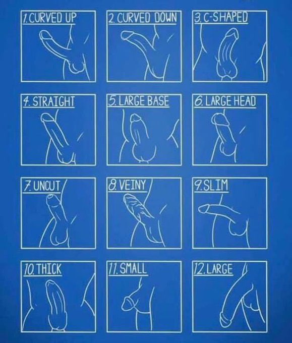 Mr Jigglypuff tweet media