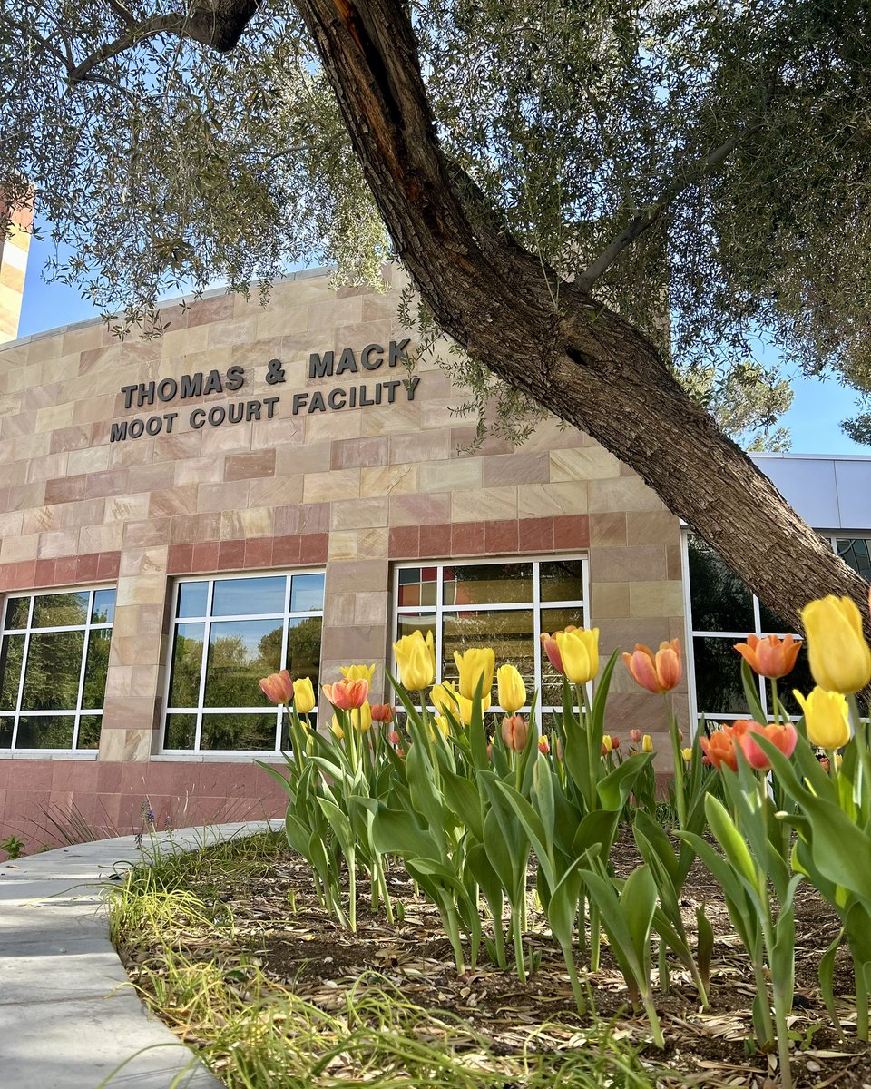 UNLVINGG's tweet image. Did you know Boyd Law has a full courtroom right inside the school? ⚖️
 The Thomas &amp;amp; Mack Moot Court Facility hosts classes, real court hearings, competitions, conferences, and more, giving students hands-on experience in a real courtroom setting.

#BoydLaw #UNLV