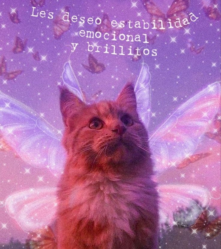 MeTooUDG tweet media