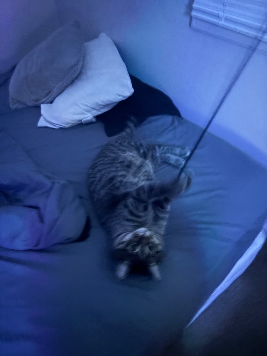 Pixel best tweet media