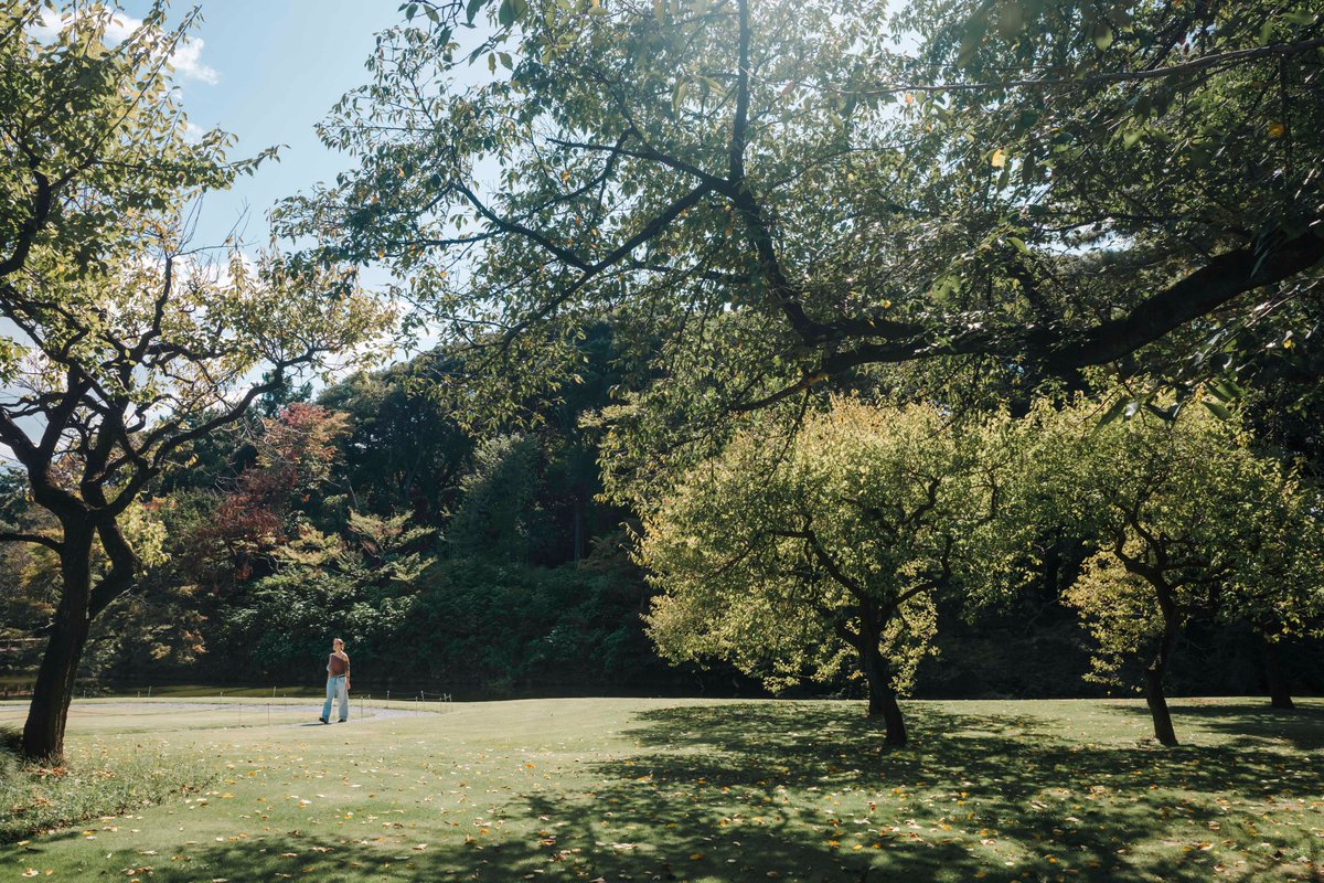 こばさん tweet media