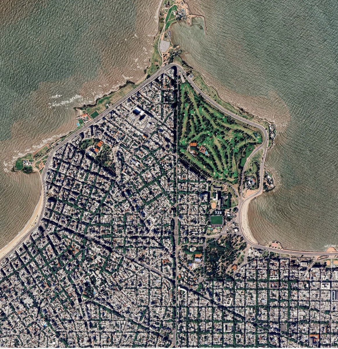 Andrés VA💛 tweet media