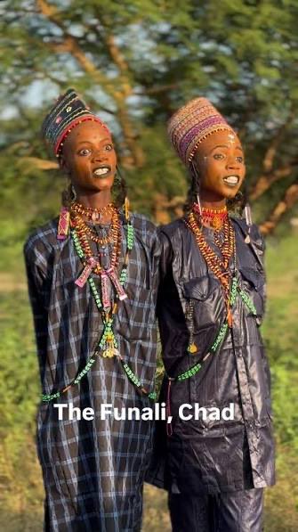 ItsFakeNews tweet media