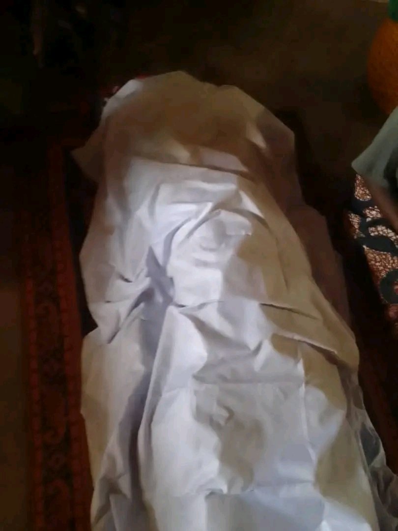 David Dokuma tweet media