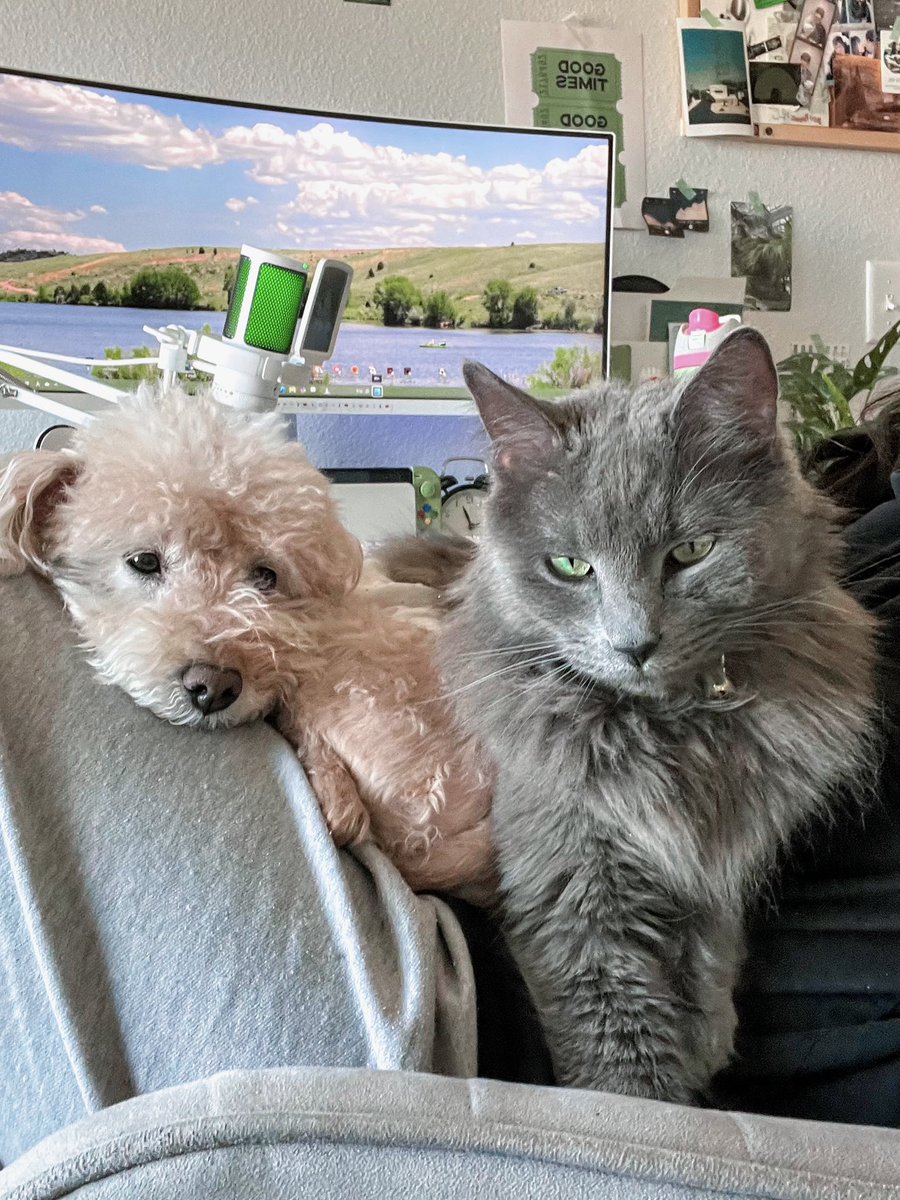 𝙉𝙤𝙠 ☘︎ tweet media