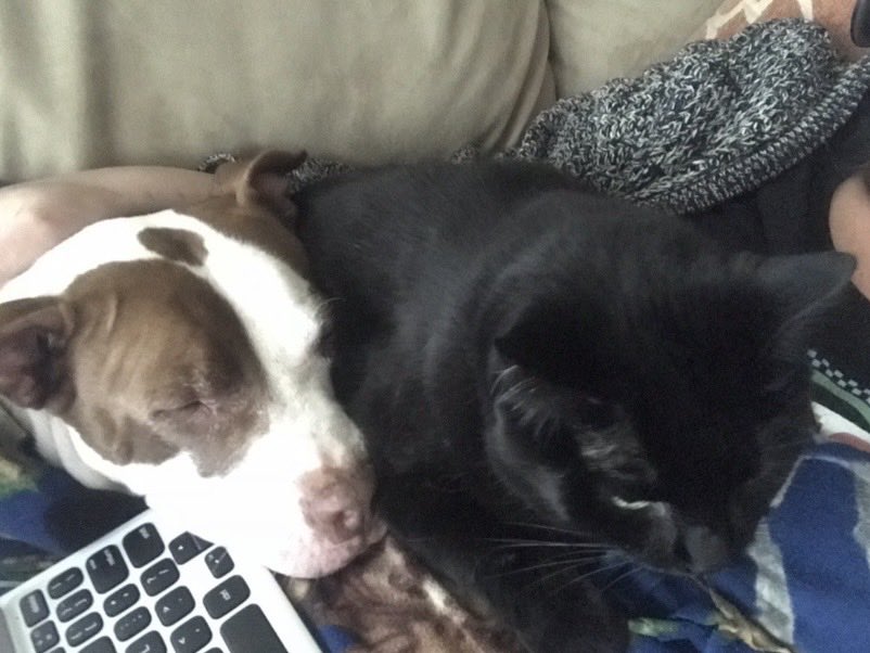 Longfellow, Esq. 🐝 tweet media