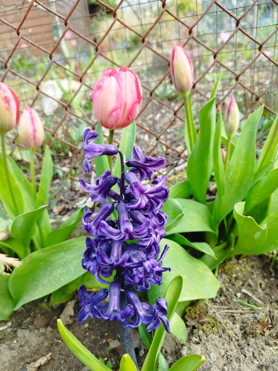 Gelincik🥀🩺💍 (yeni hesap) tweet media