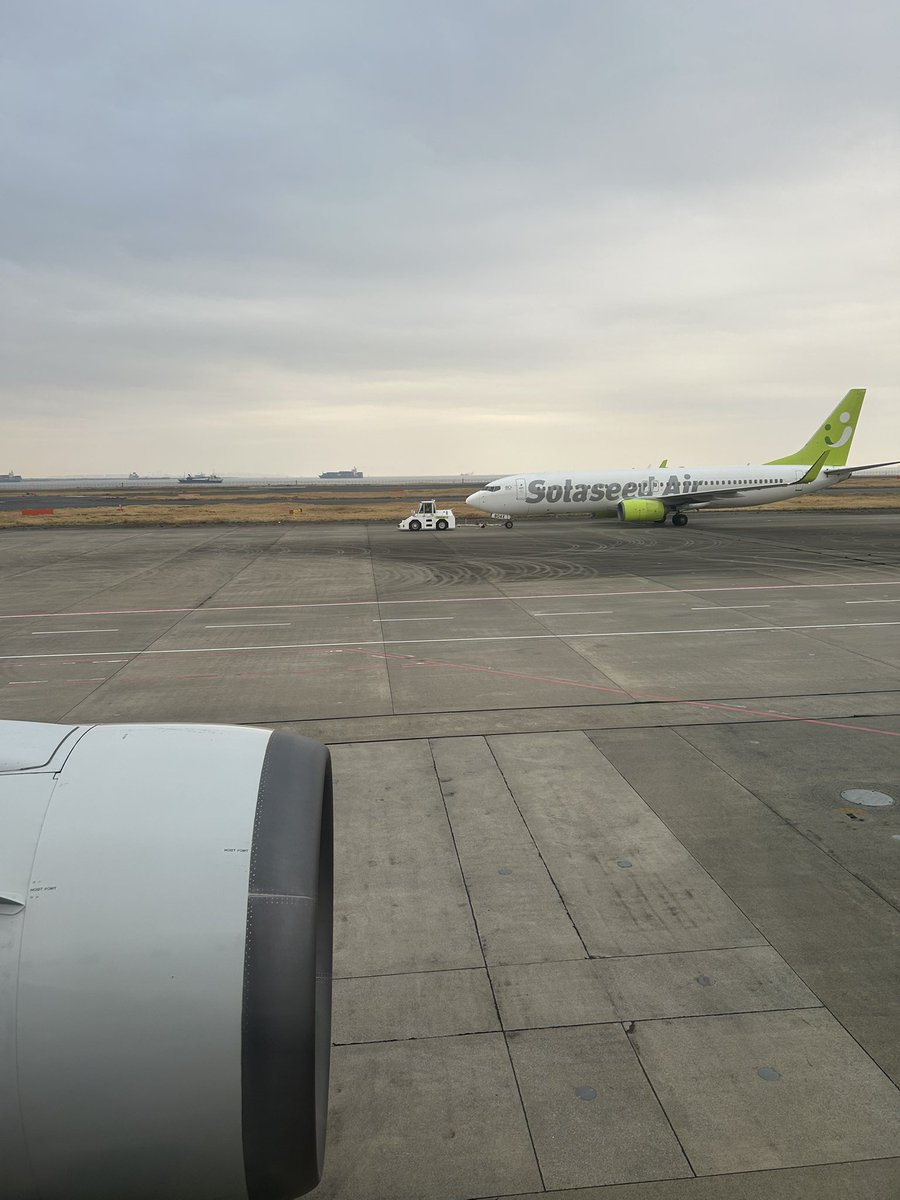 でんちゃん/小児がんサバイバー tweet media