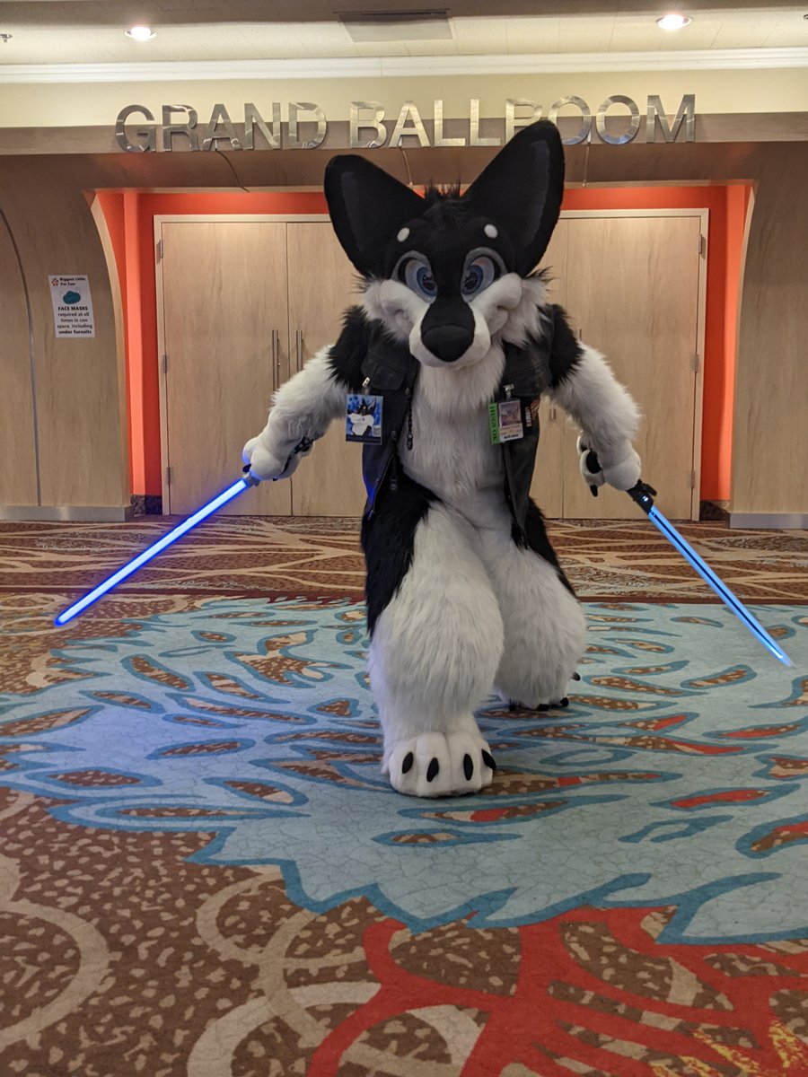 Shadow D Husky tweet media