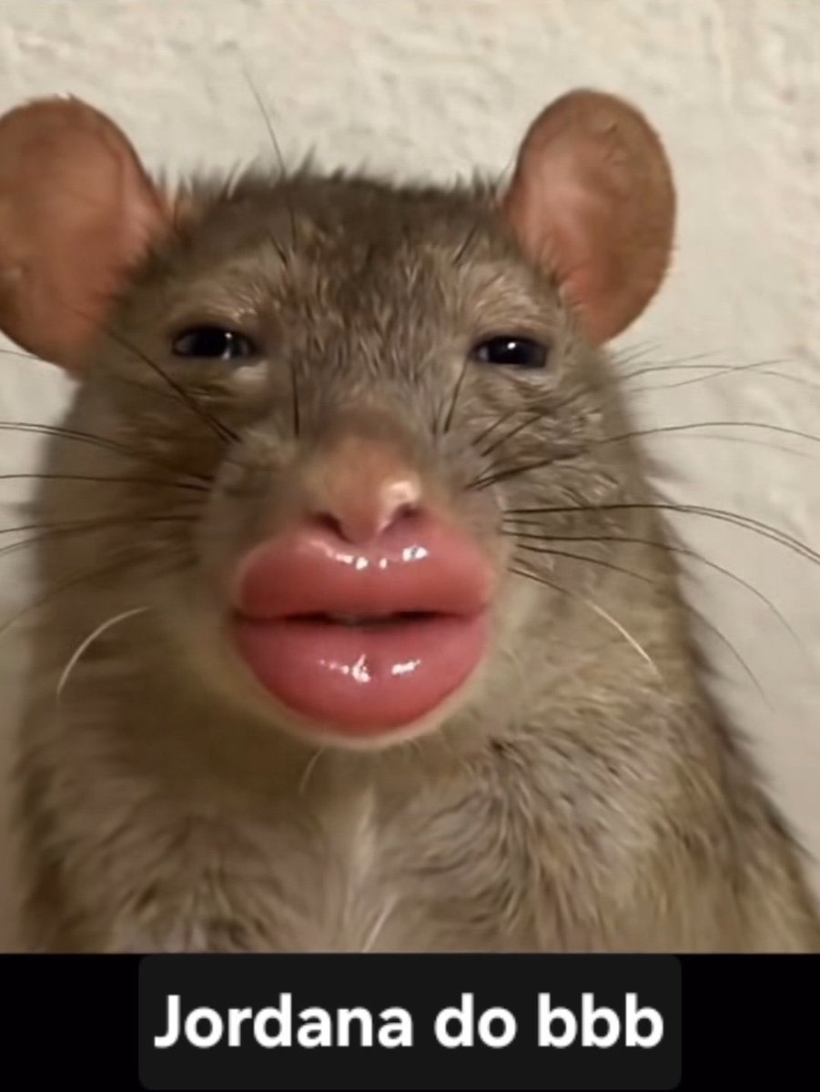 Manuel Pinheiro tweet media