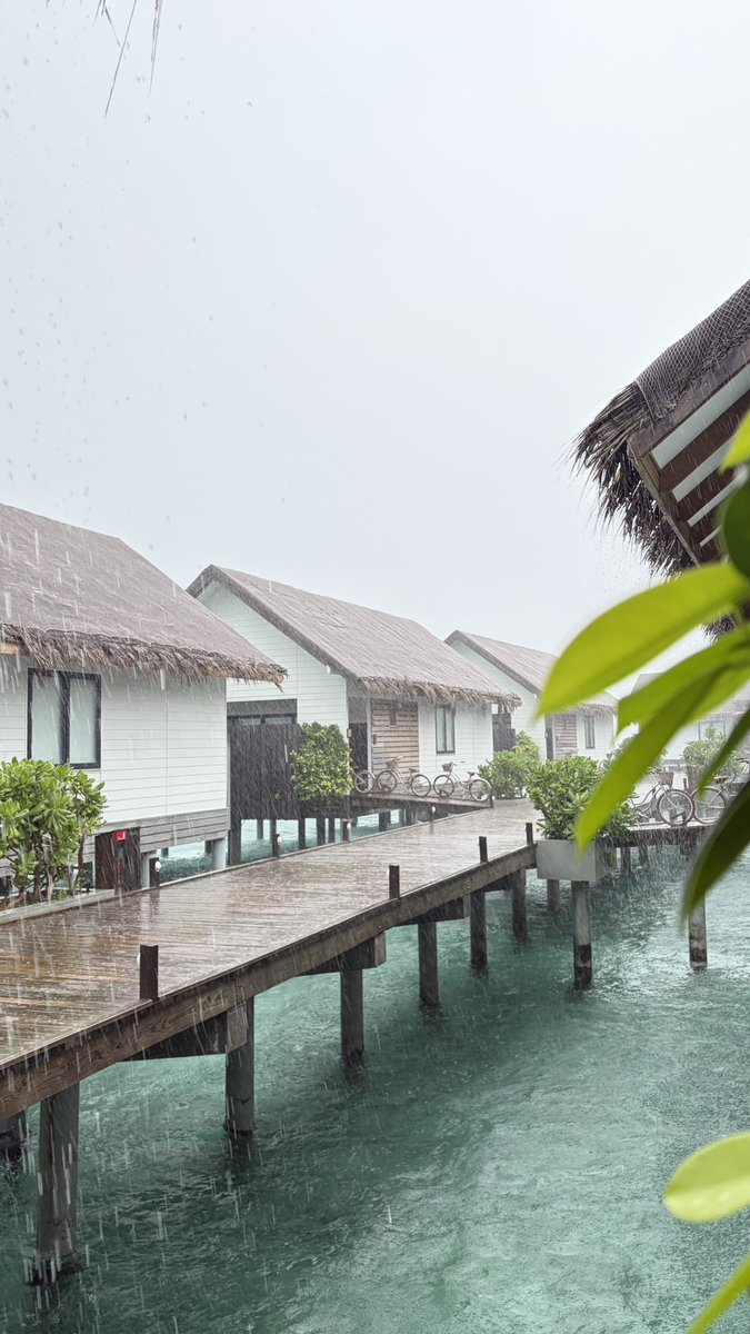 حصة بنت عبدالعزيز tweet media