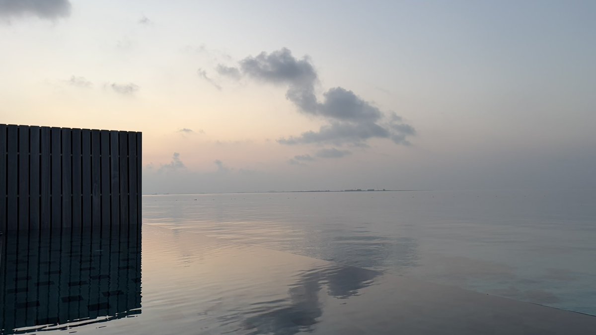 حصة بنت عبدالعزيز tweet media