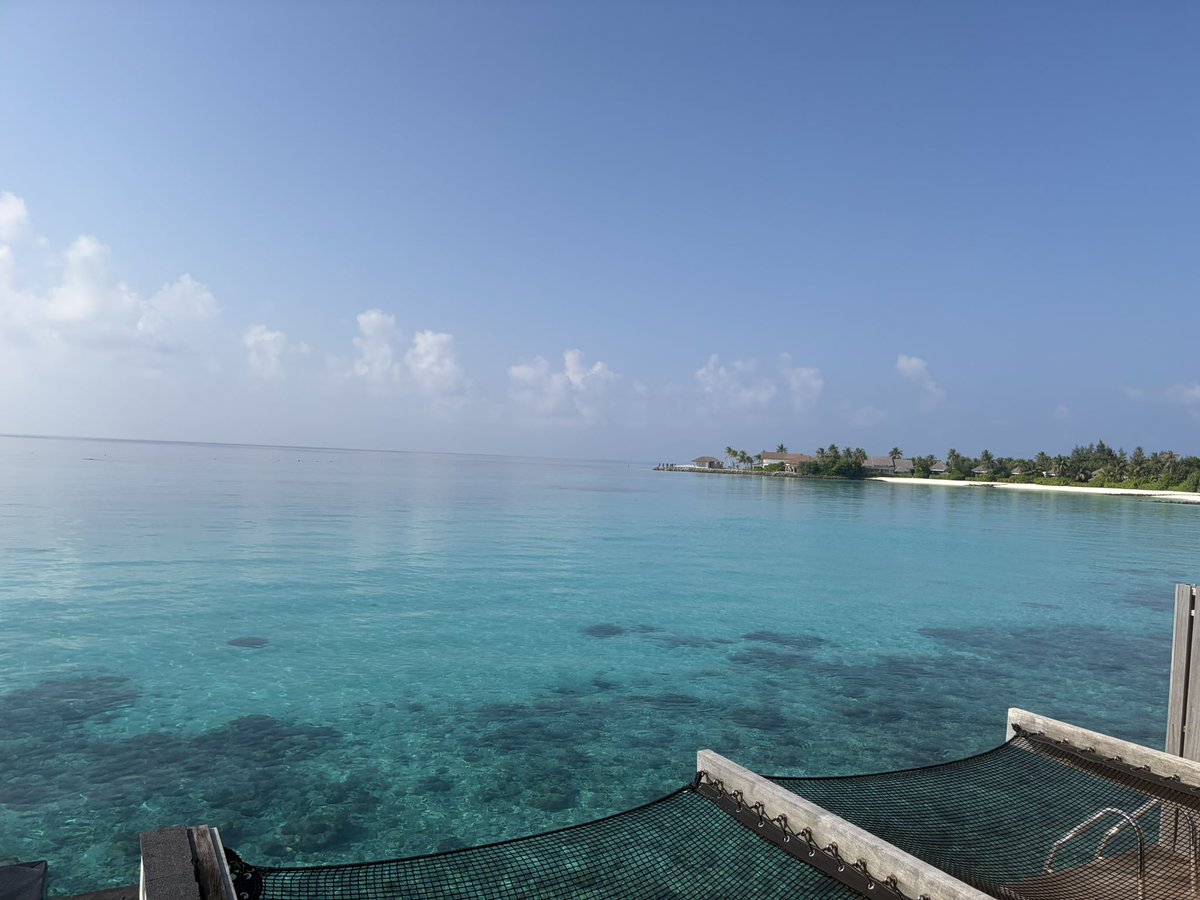 حصة بنت عبدالعزيز tweet media