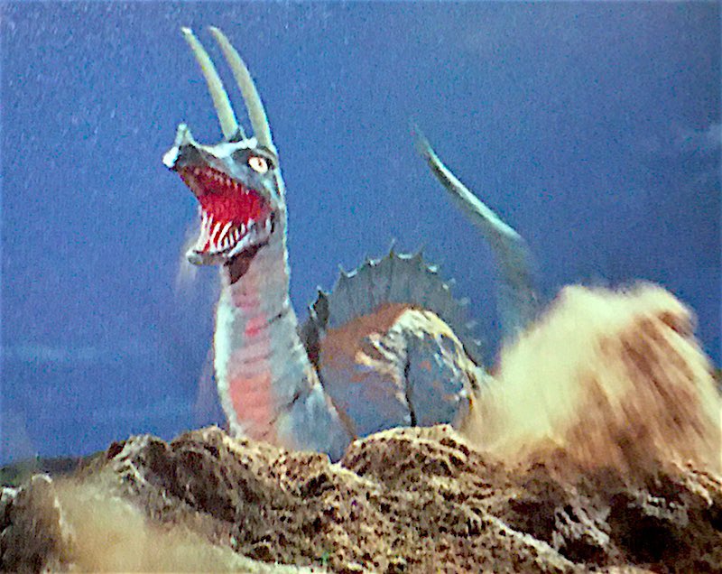 東野さとし（さんちゃん） tweet media