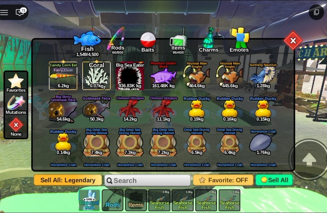 cit | mt after dm tweet media