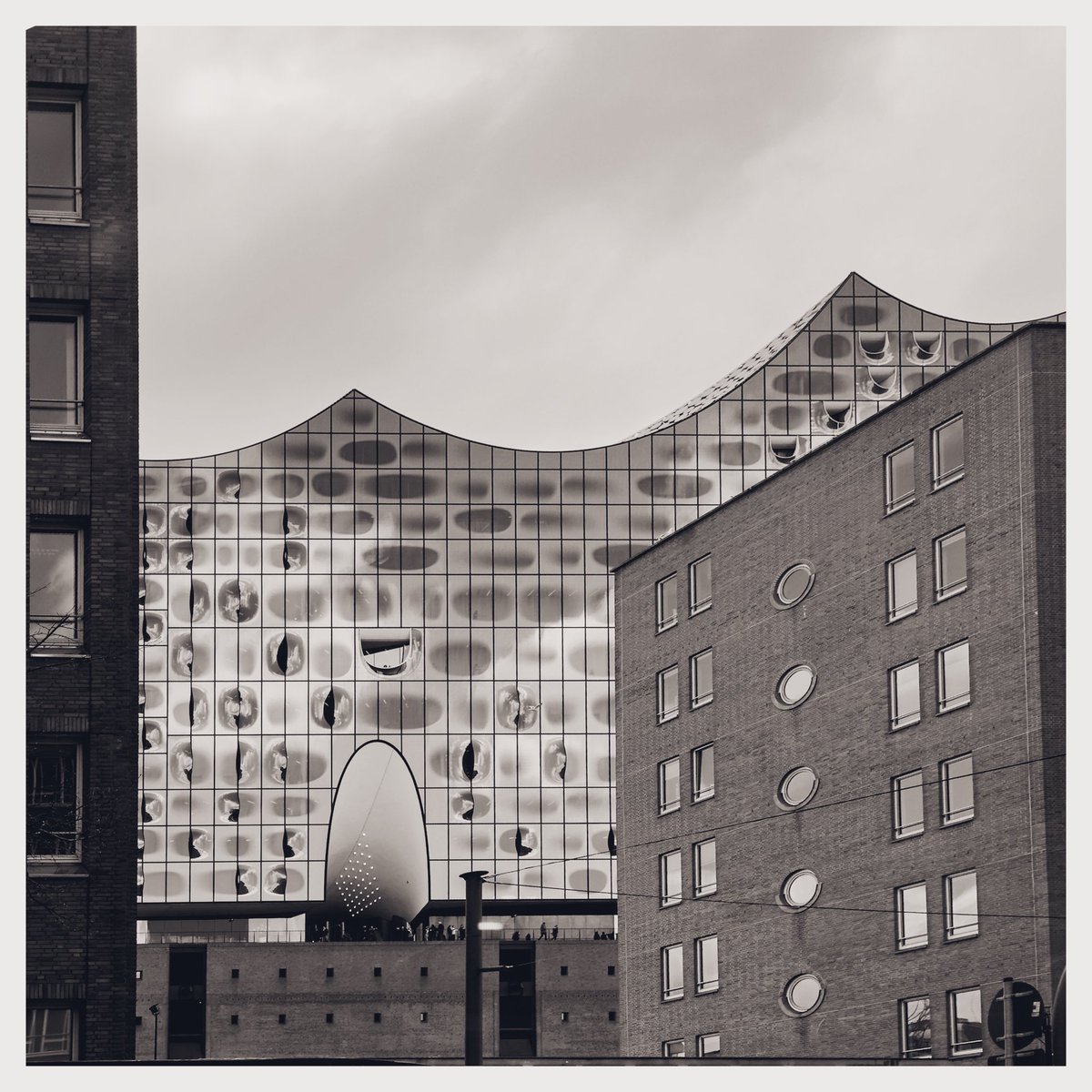 Wod Anaka tweet media