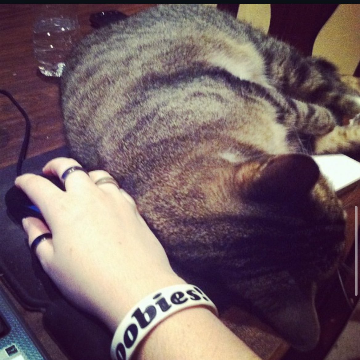 snailqueen 🐌 tweet media