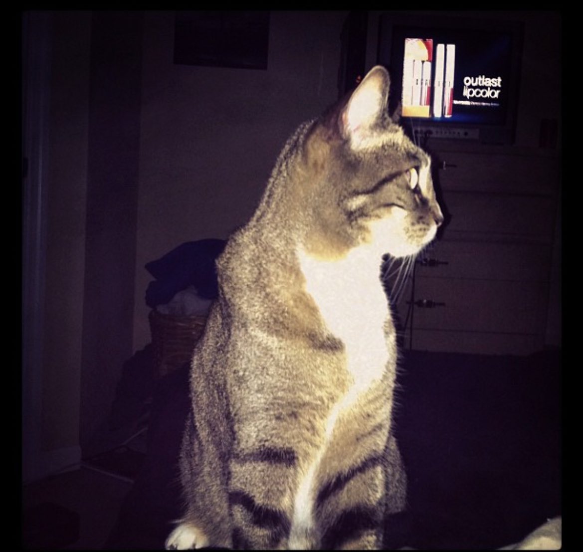 snailqueen 🐌 tweet media