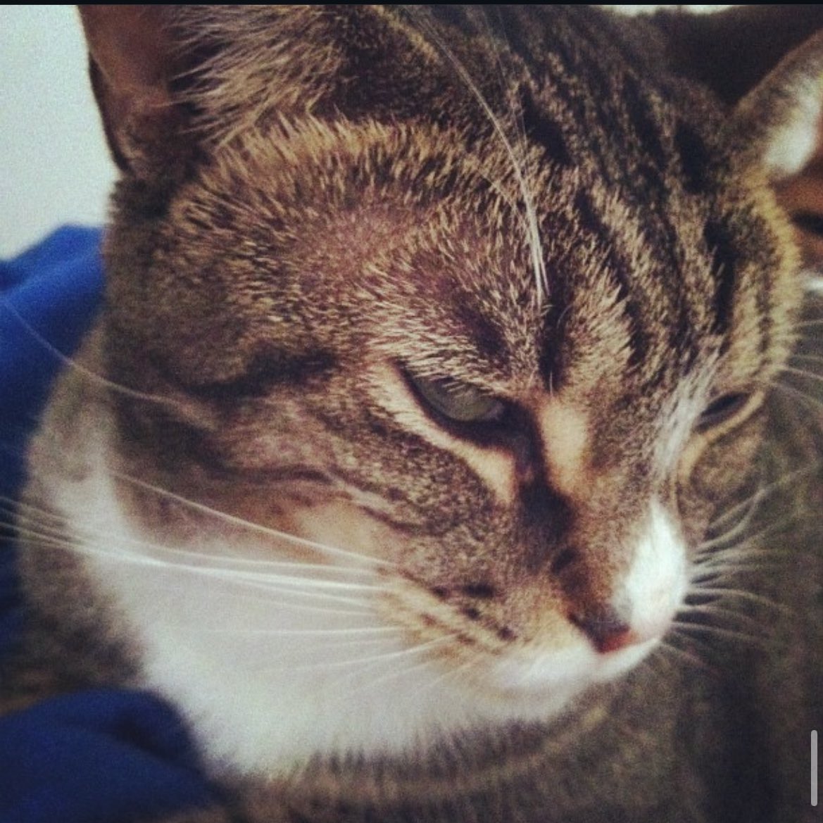 snailqueen 🐌 tweet media