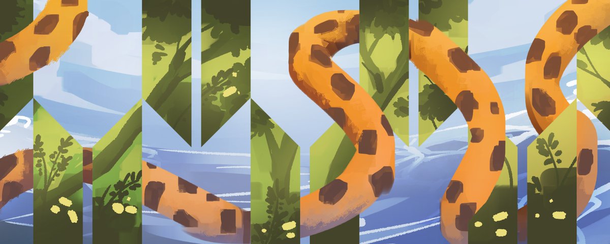 Brack Giraffe tweet media