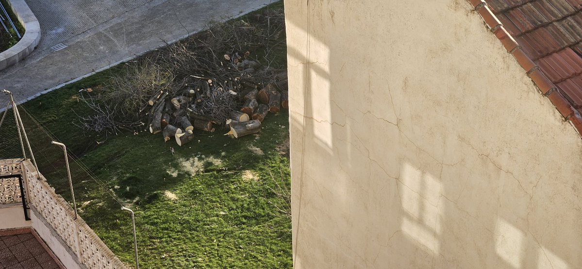 Cailhette tweet media