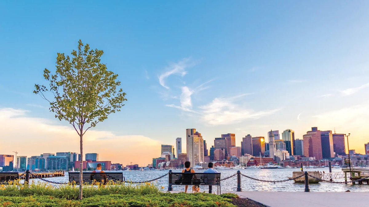 CelticLad tweet media