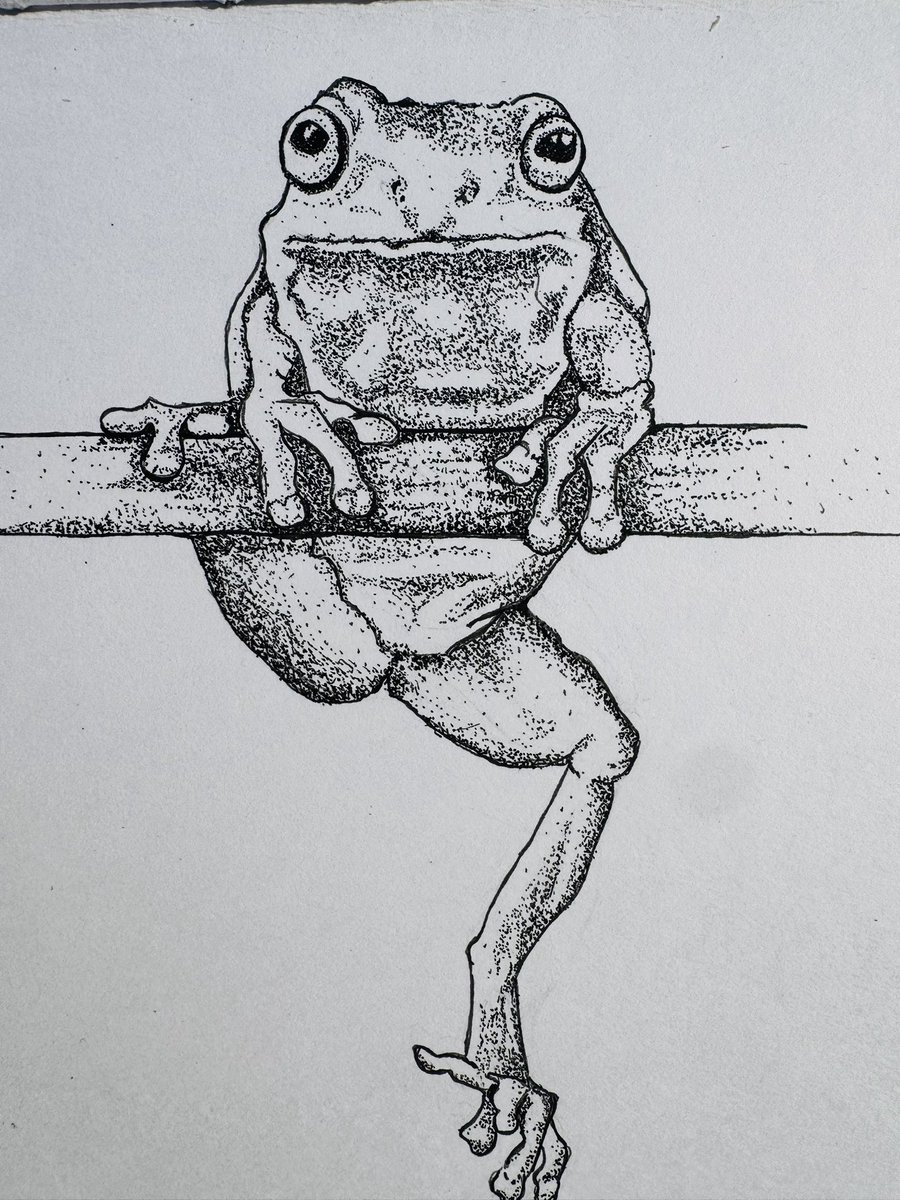 datCo✏️ tweet media