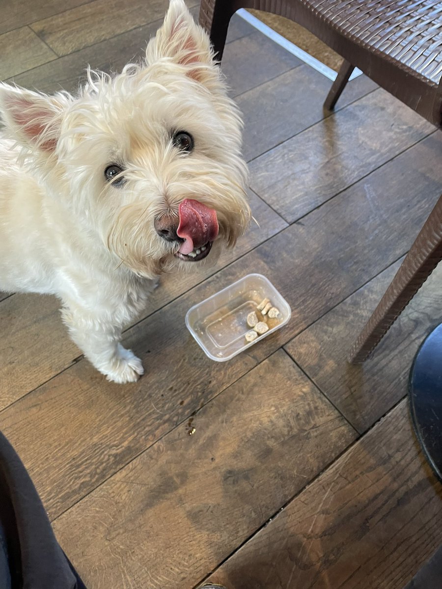 Bobby Watson RIP Busby Watson, Archie, Winston ❤️ tweet media