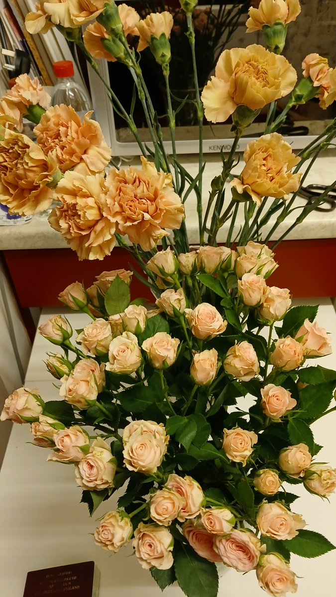 Scarfie1 🐎🐾🐾🐕✈️ tweet media