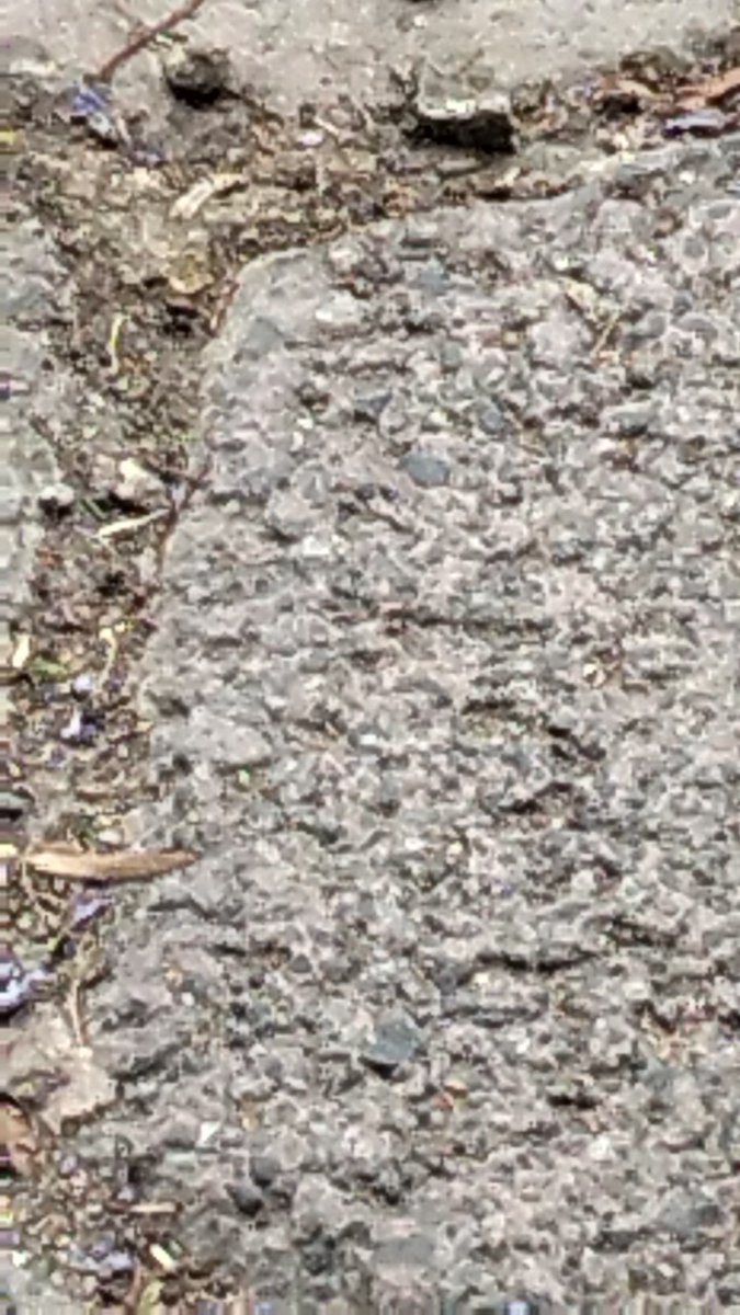 Ruvter_Ruvyzvat tweet media