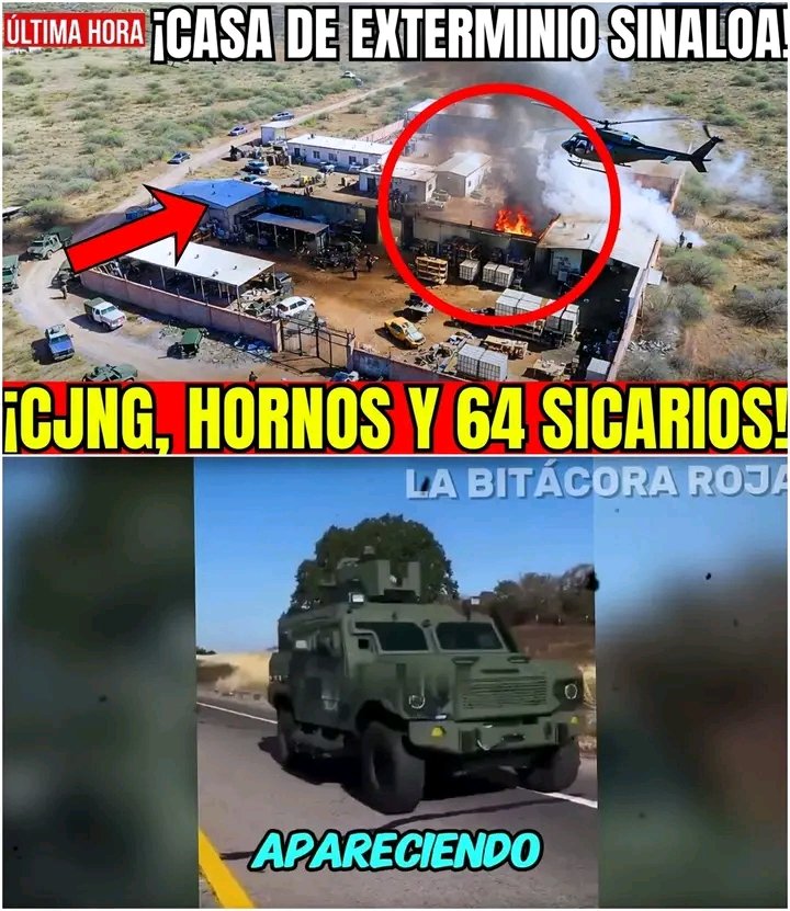 Contacto Revista tweet media