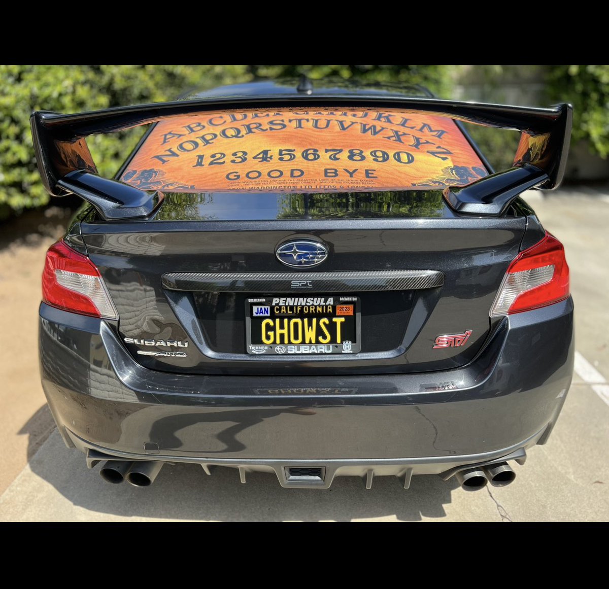 Bunky 👁️⃤ 🐍🦁 tweet media