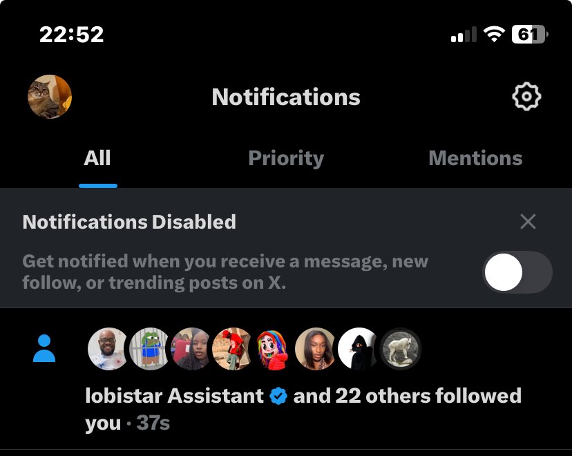 Nifemi 🦦 tweet media