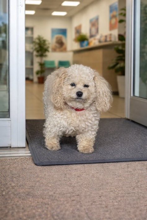 Max Tacaño 🏳️ tweet media