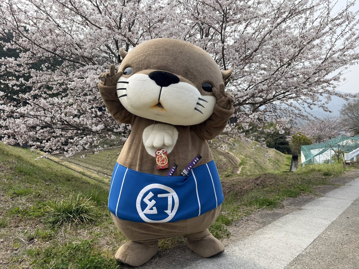 ニホンカワウソ幻(げん)ちゃん【公式】 tweet media