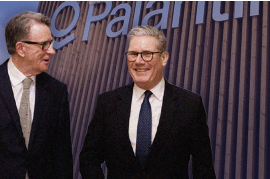 Tim Walker tweet media