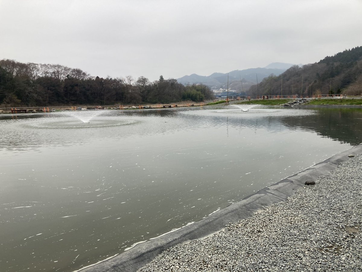 ハマー tweet media