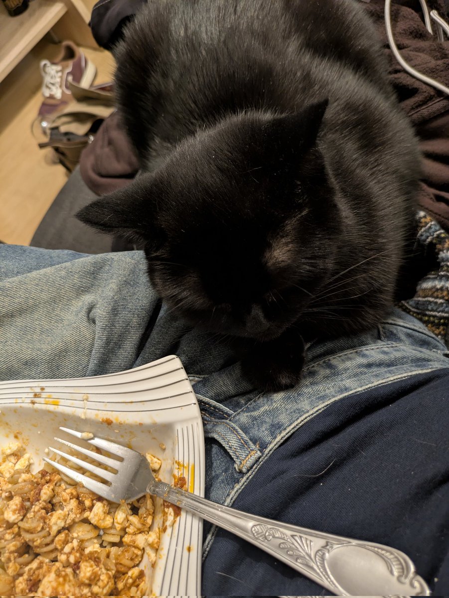 rio 🪲 bug oomf tweet media