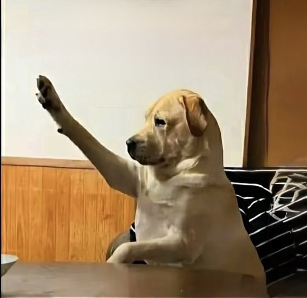 Fallou Curry .🇸🇳⭐️⭐️ tweet media