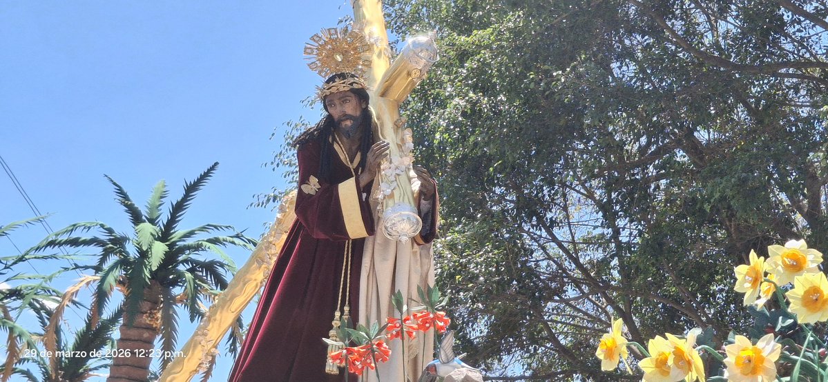 Arquiwolf tweet media