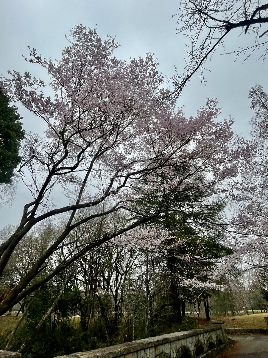 ともみ tweet media