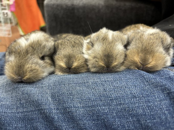 JHスタッフ tweet media